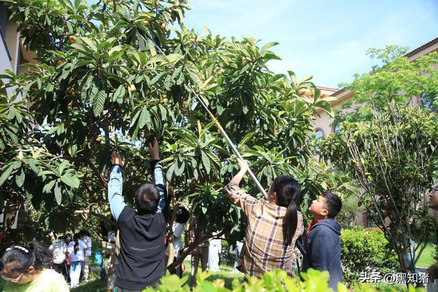 半岛电竞试玩：龙山湖小学家庭教育讲座《原生家庭影响孩子的一生》家校共育(图1)